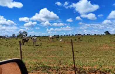 Fazenda para venda em Paranaiba